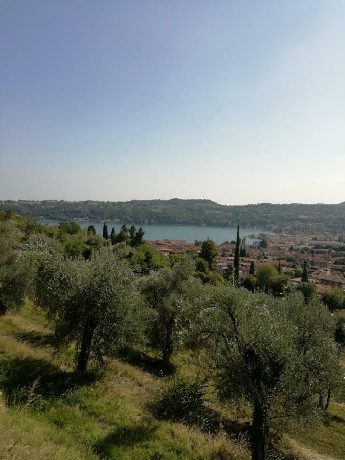 Agriturismo Podere Nigriano Salò Exteriör bild
